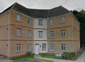 Front view